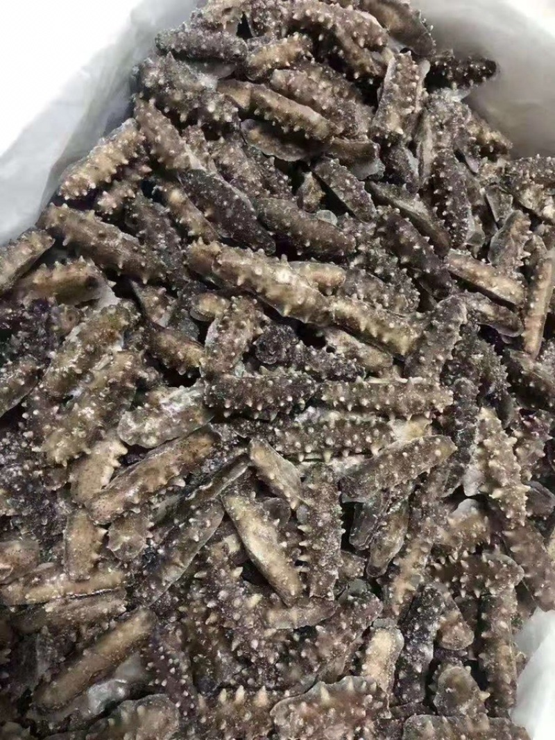 即食海参