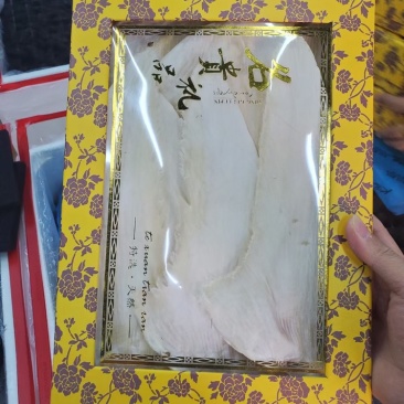 鱼翅
