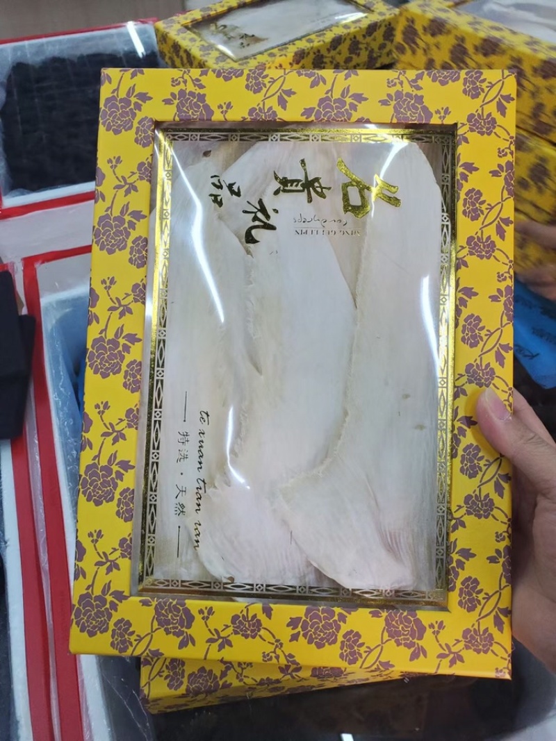 鱼翅