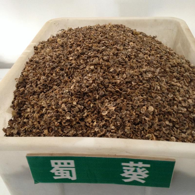 蜀葵花种子