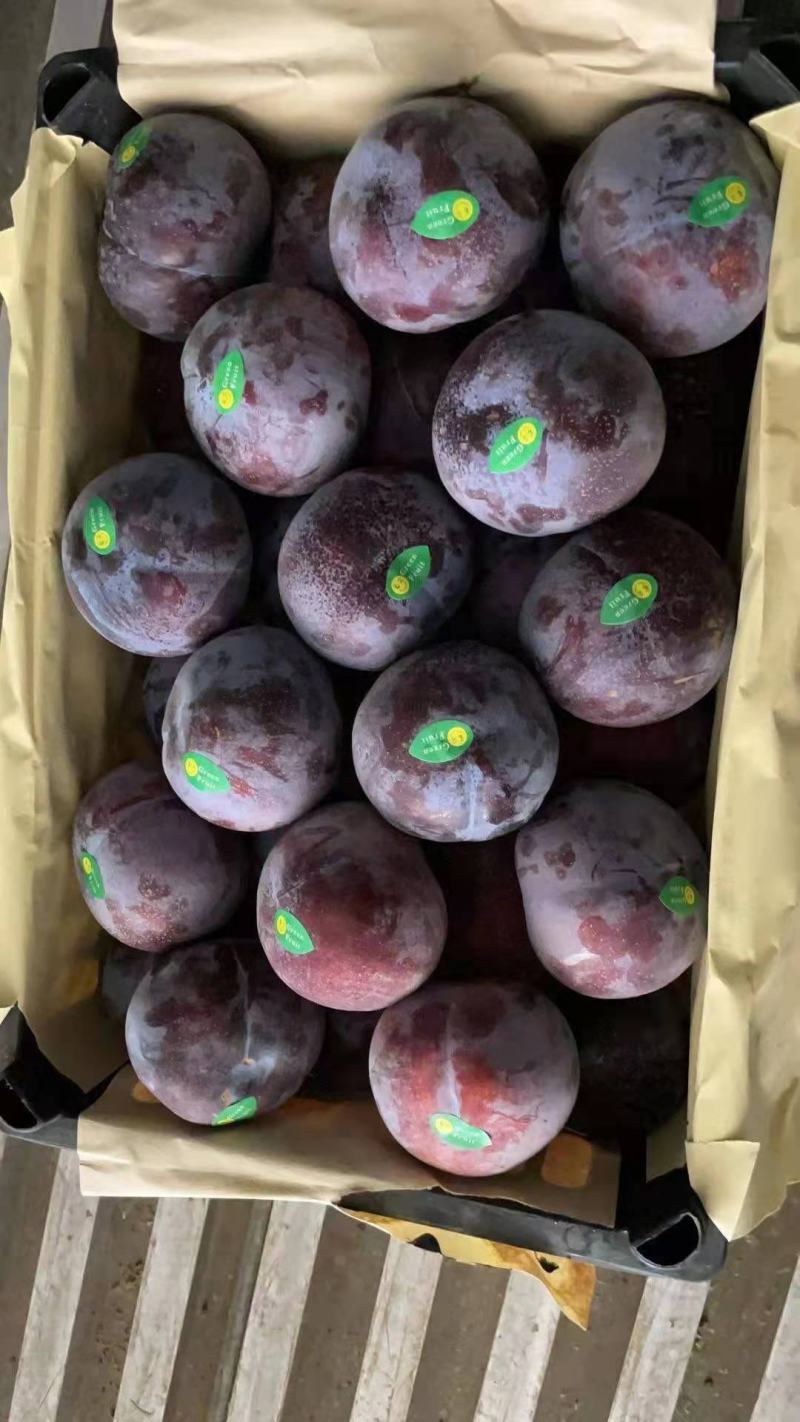 库存黑总统，质量好，制冷标准，客户收的