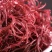 龙须菜盐渍龙须菜保鲜龙须菜凉拌菜海中珍品龙须菜包邮