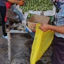 青皮核桃