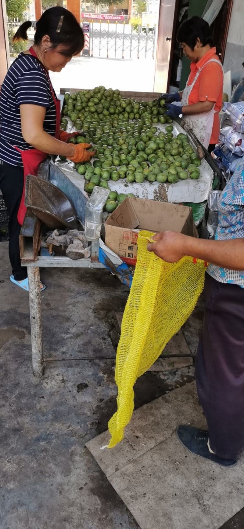 青皮核桃