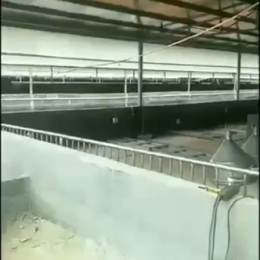 现代化养殖池镀锌板高密度帆布池种植养殖蓄水，畜牧场卷帘布