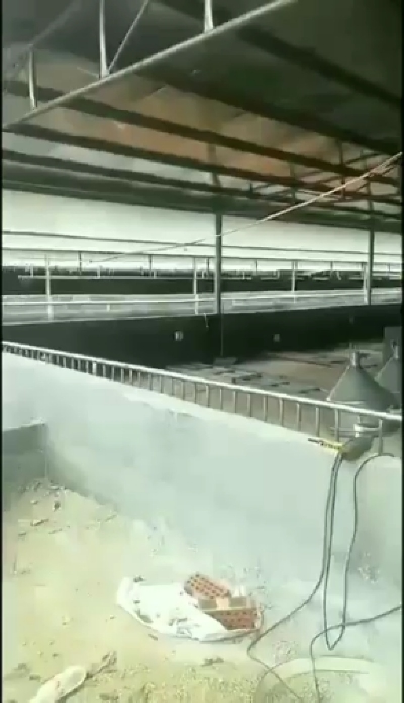 现代化养殖池镀锌板高密度帆布池种植养殖蓄水，畜牧场卷帘布