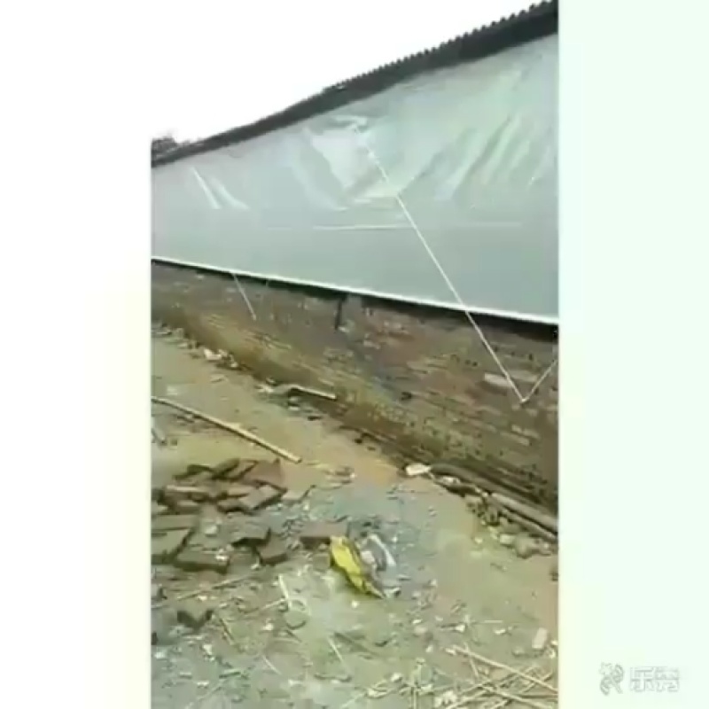 现代化养殖池镀锌板高密度帆布池种植养殖蓄水，畜牧场卷帘布