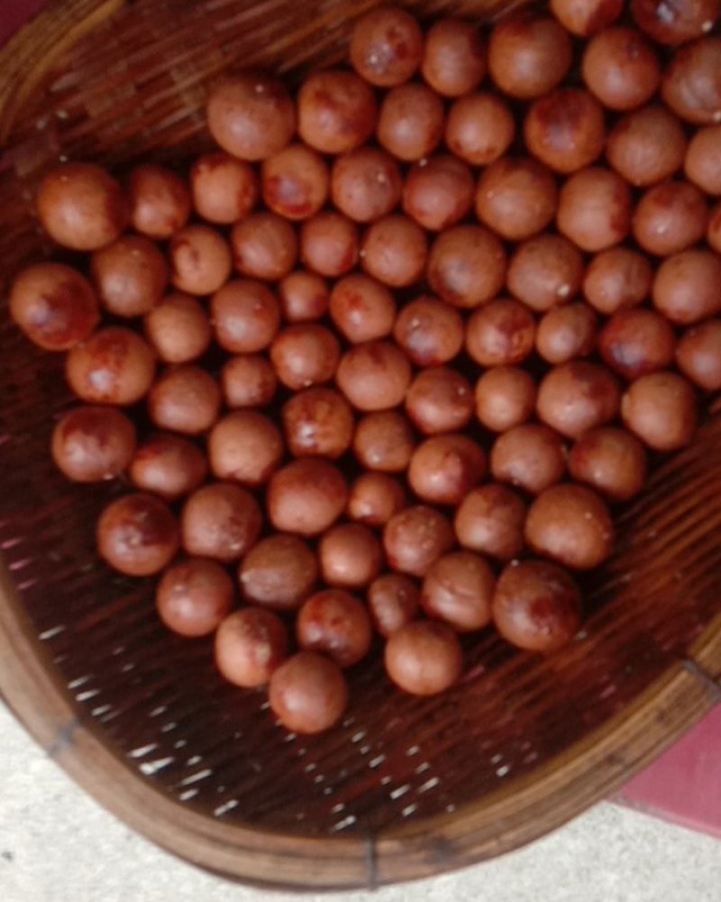 云南夏威夷果又名坚果
