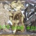 野生菌礼盒山珍随手礼三拼四拼