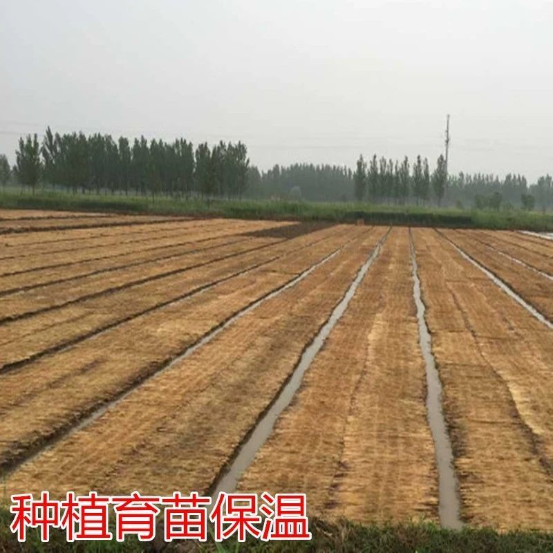 稻草苫子草绳厂家直供一手货源价格美丽质量保证