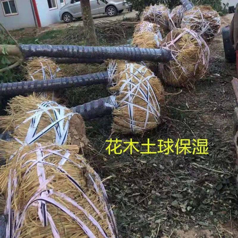 稻草苫子草绳厂家直供一手货源价格美丽质量保证