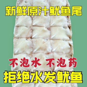 阿鱿耳真鱿耳朵阿根廷鱿鱼尾巴真鱿尾