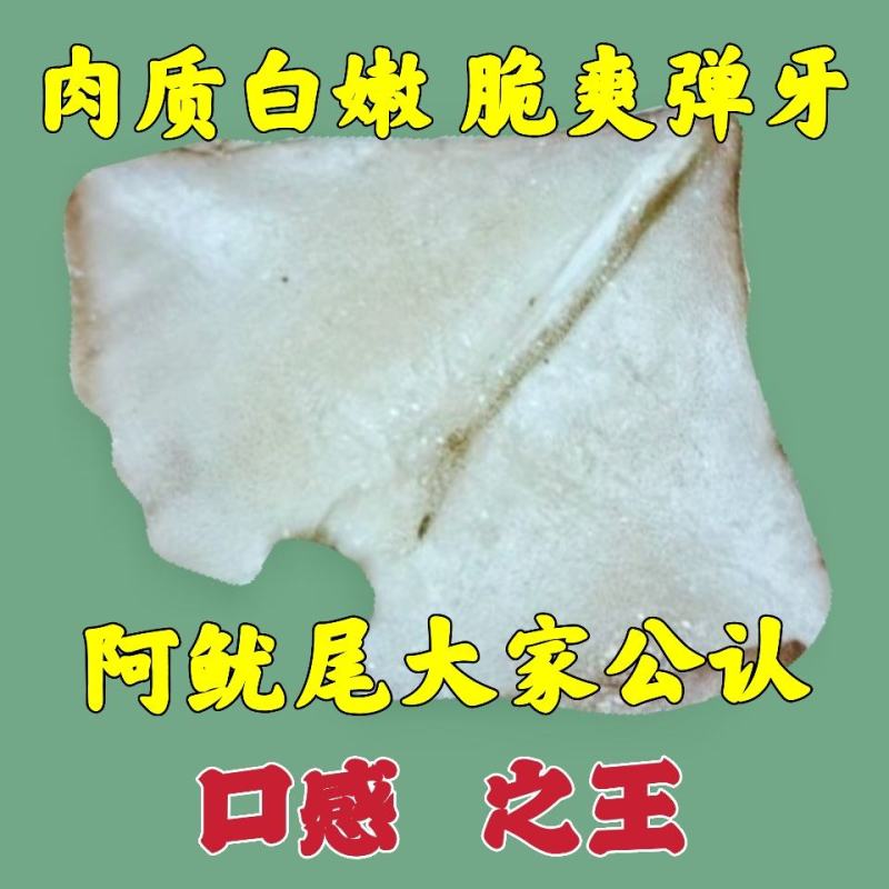 阿鱿耳真鱿耳朵阿根廷鱿鱼尾巴真鱿尾