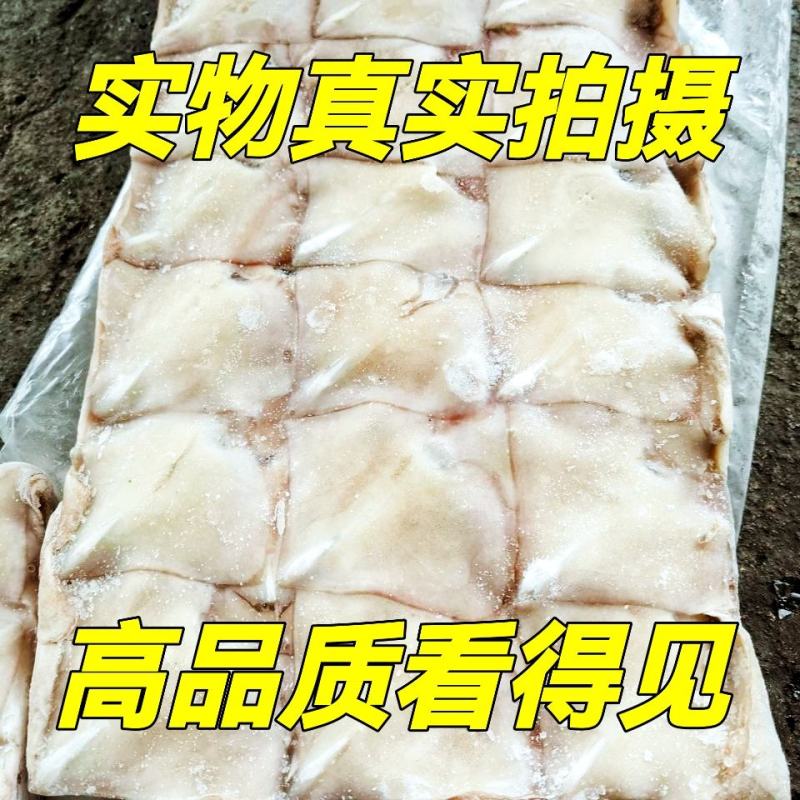 阿鱿耳真鱿耳朵阿根廷鱿鱼尾巴真鱿尾