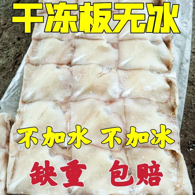 阿鱿耳真鱿耳朵阿根廷鱿鱼尾巴真鱿尾