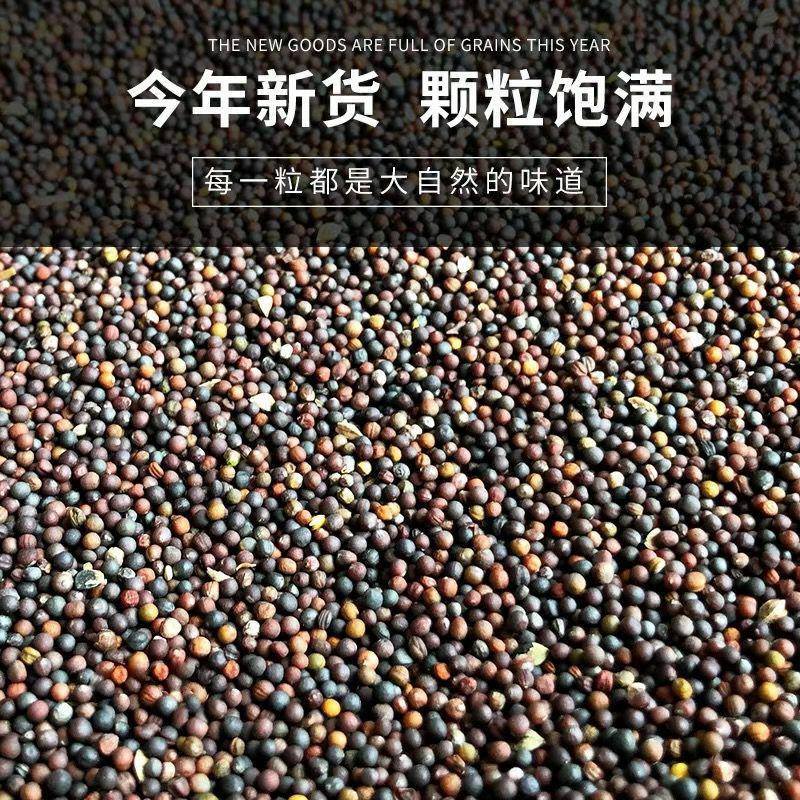 油菜籽，厂家直销精品油菜籽欢迎各位老板联系