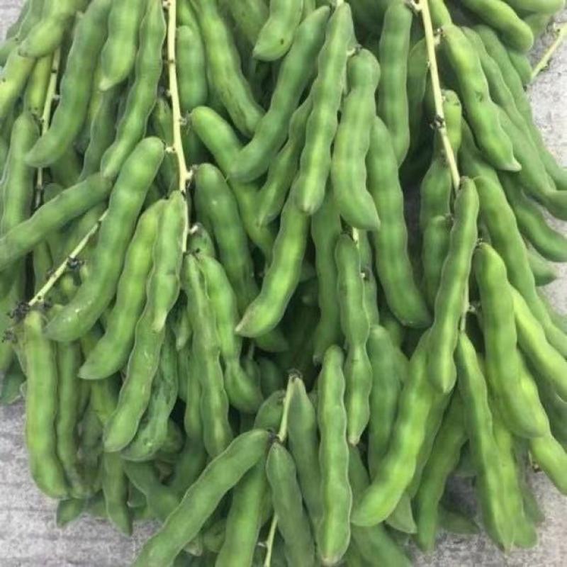 广西现摘新鲜狗爪豆农家自种包邮