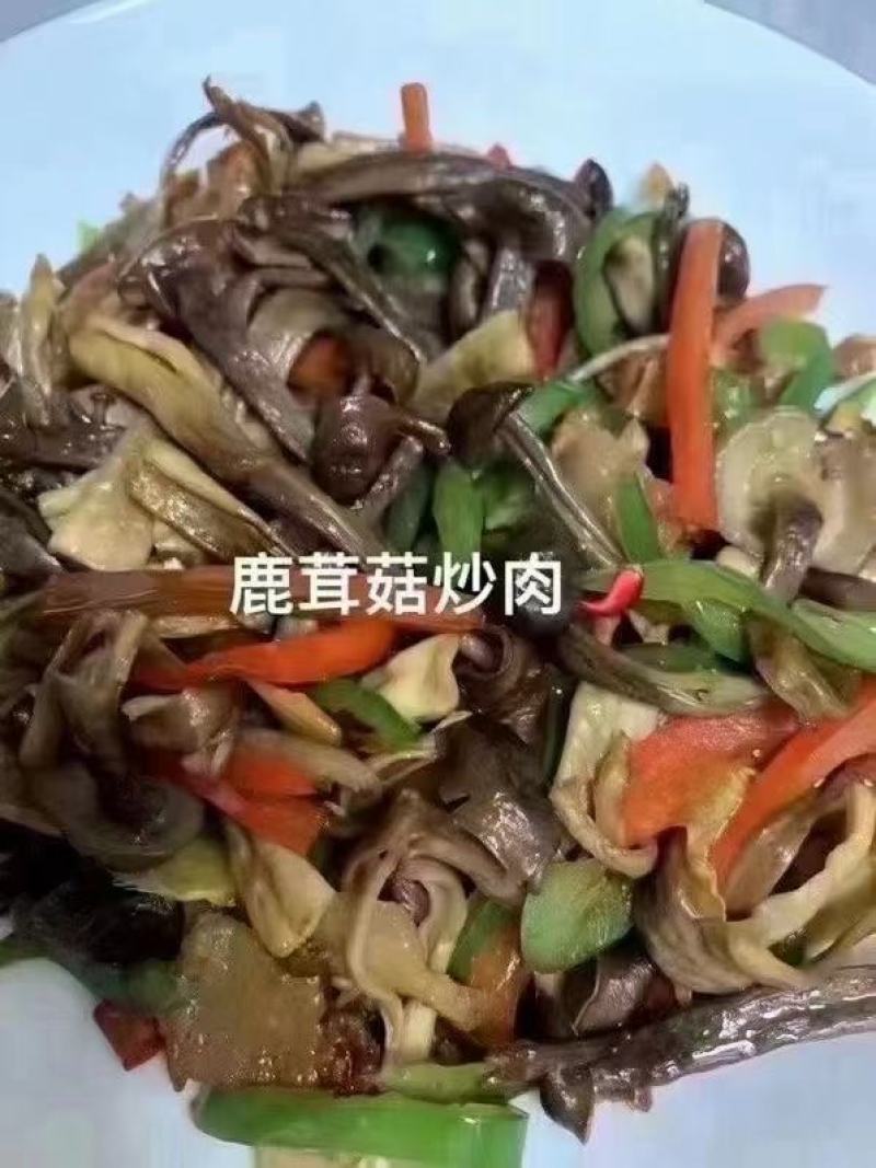 鹿茸菇食用菌，鹿茸菇。。。。。