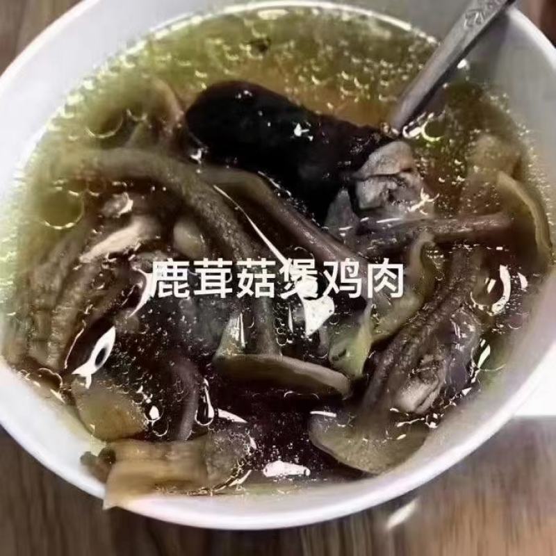 鹿茸菇食用菌，鹿茸菇。。。。。