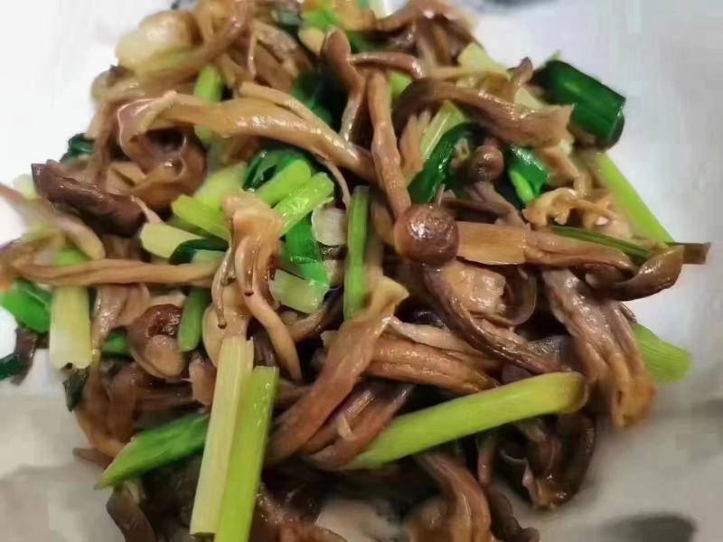 鹿茸菇食用菌，鹿茸菇。。。。。