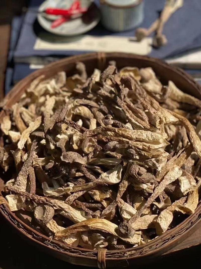 鹿茸菇食用菌，鹿茸菇。。。。。