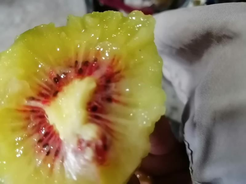 红心猕猴桃，应季水果
