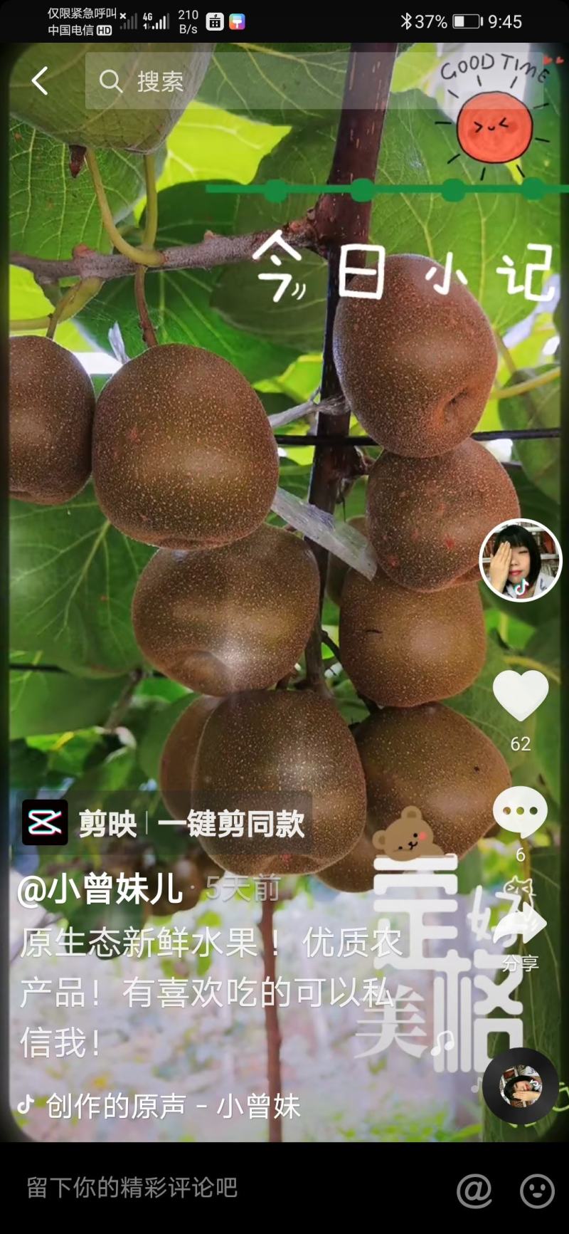 红心猕猴桃，应季水果