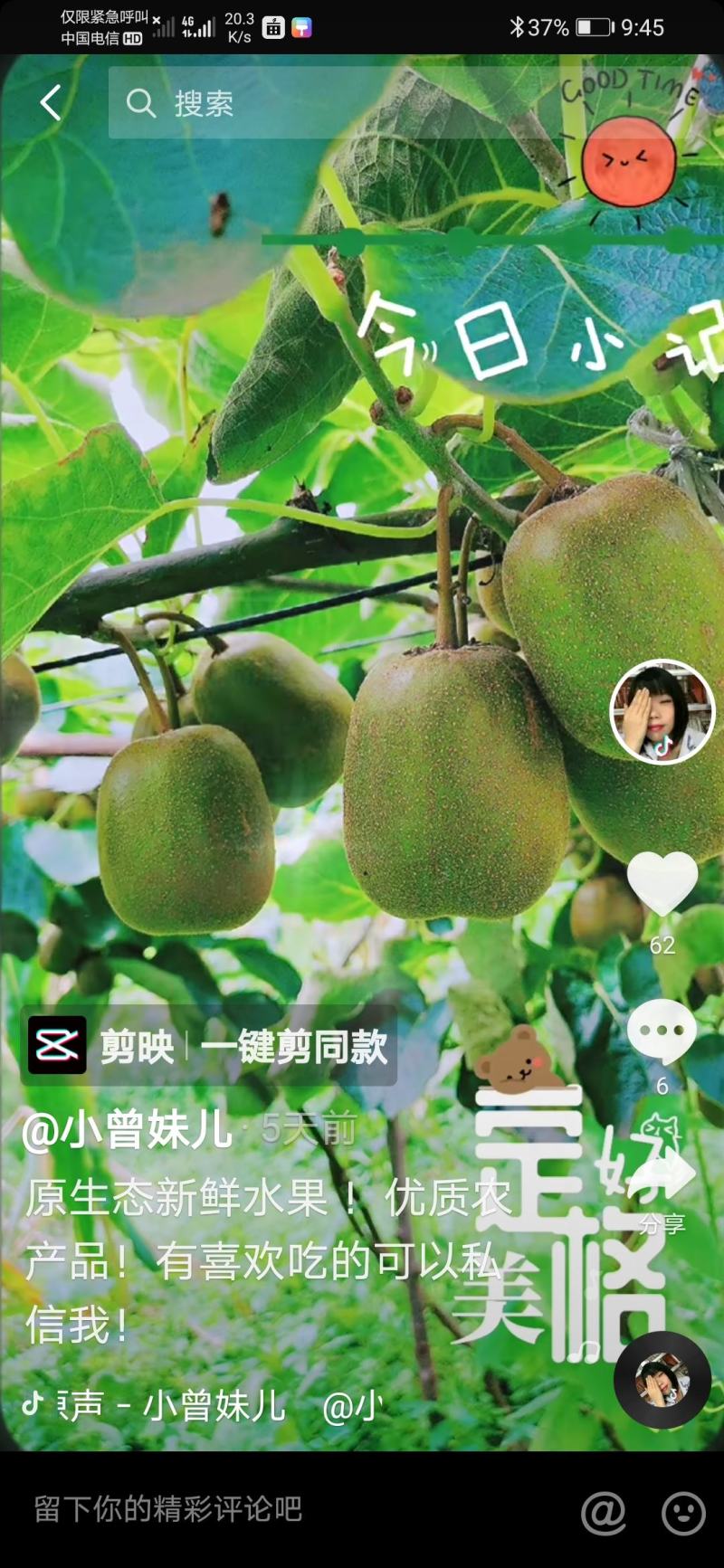红心猕猴桃，应季水果