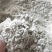 大豆油渣粉，适合养殖户，降低成本，饲料厂可增加，几百一吨