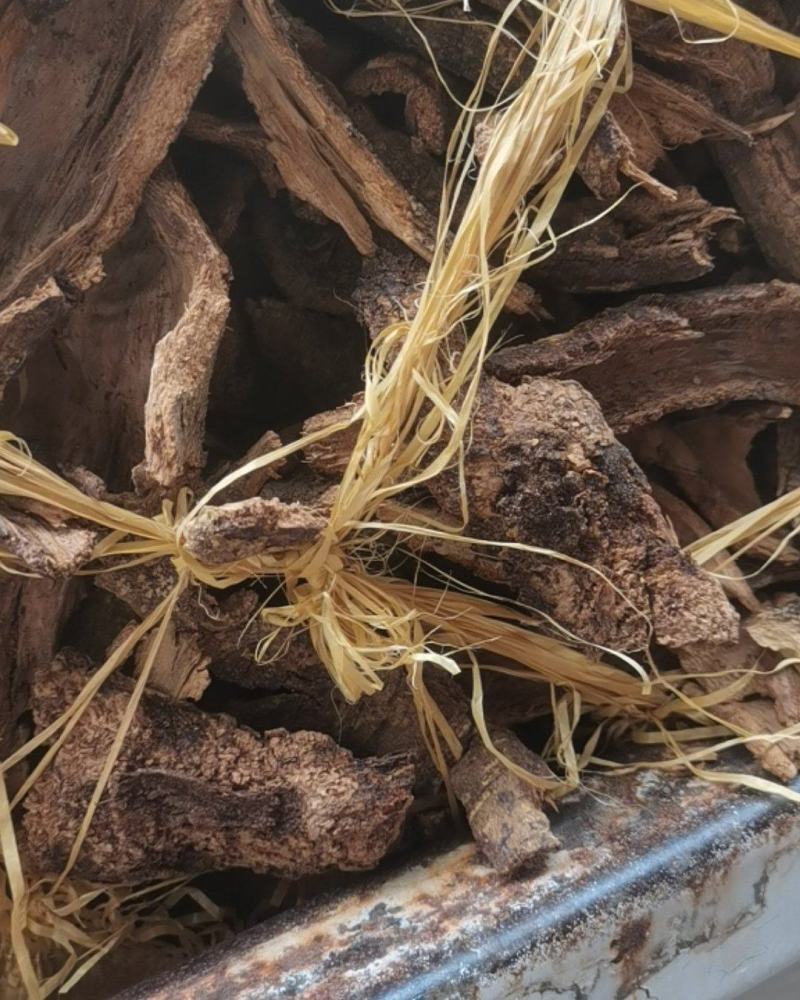 贵州中药材飞龙掌血根皮见血飞皮