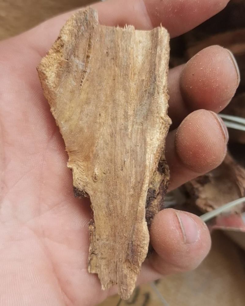 贵州中药材飞龙掌血根皮见血飞皮