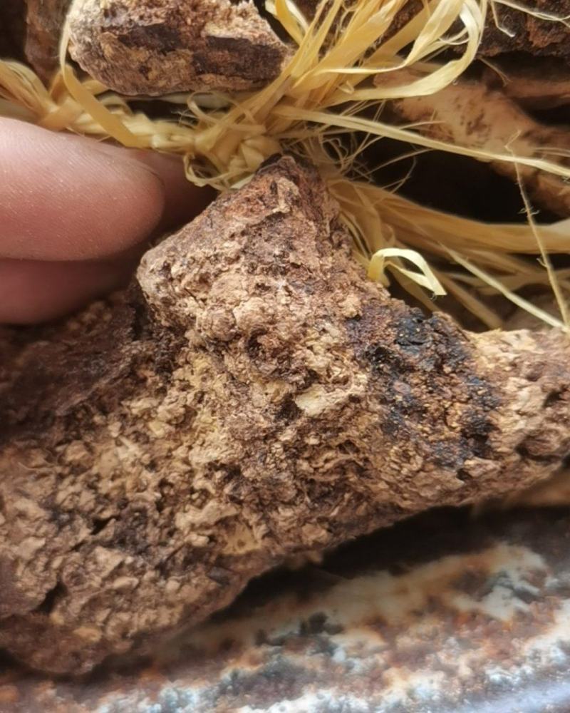 贵州中药材飞龙掌血根皮见血飞皮