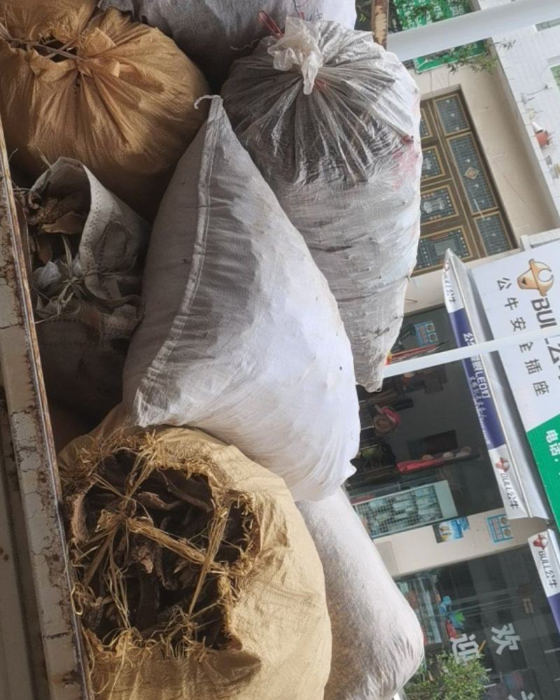 贵州中药材飞龙掌血根皮见血飞皮