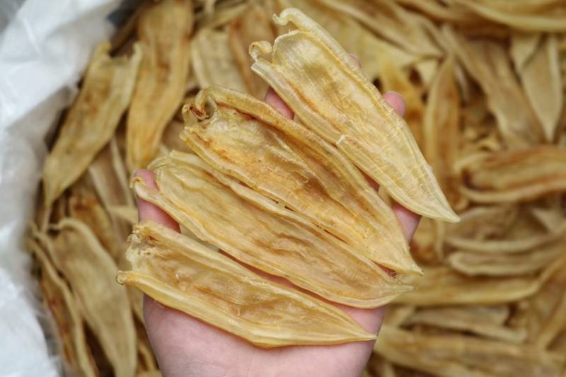 60头双背胶鱼胶花胶批发肉质新鲜完整漂亮货没有油面