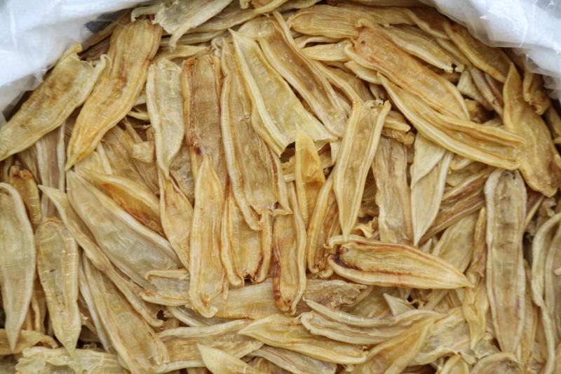 60头双背胶鱼胶花胶批发肉质新鲜完整漂亮货没有油面