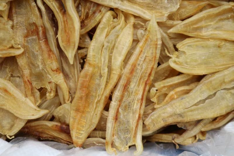 60头双背胶鱼胶花胶批发肉质新鲜完整漂亮货没有油面
