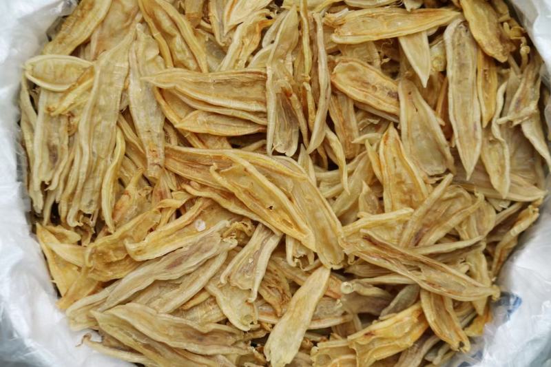 60头双背胶鱼胶花胶批发肉质新鲜完整漂亮货没有油面