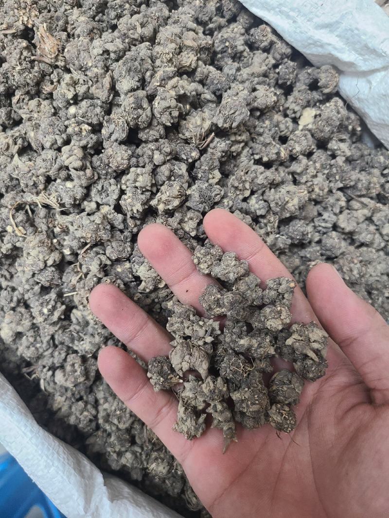 猫爪草无硫靓货干度好