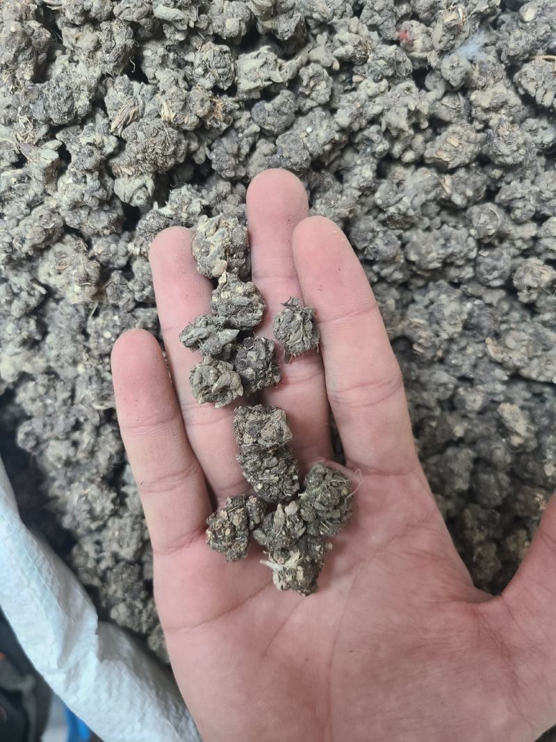 猫爪草无硫靓货干度好