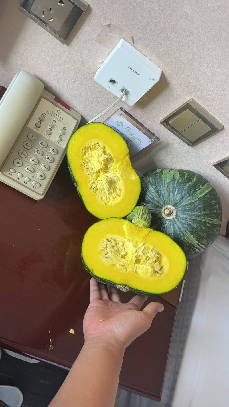 辽宁锦州大量绿瓜上市，适合各大加工厂，各大市场，质量保证
