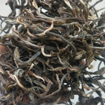 普洱茶