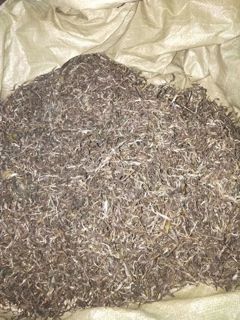 普洱茶