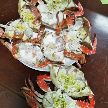 梭子蟹
