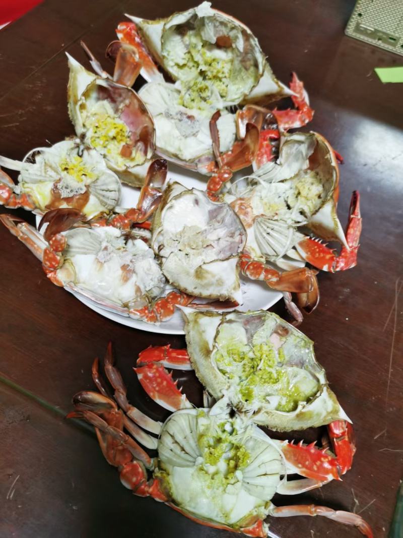 梭子蟹
