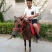 矮马活马小型骑乘马活体迷你儿童小马驹幼马宠物马幼崽小矮马