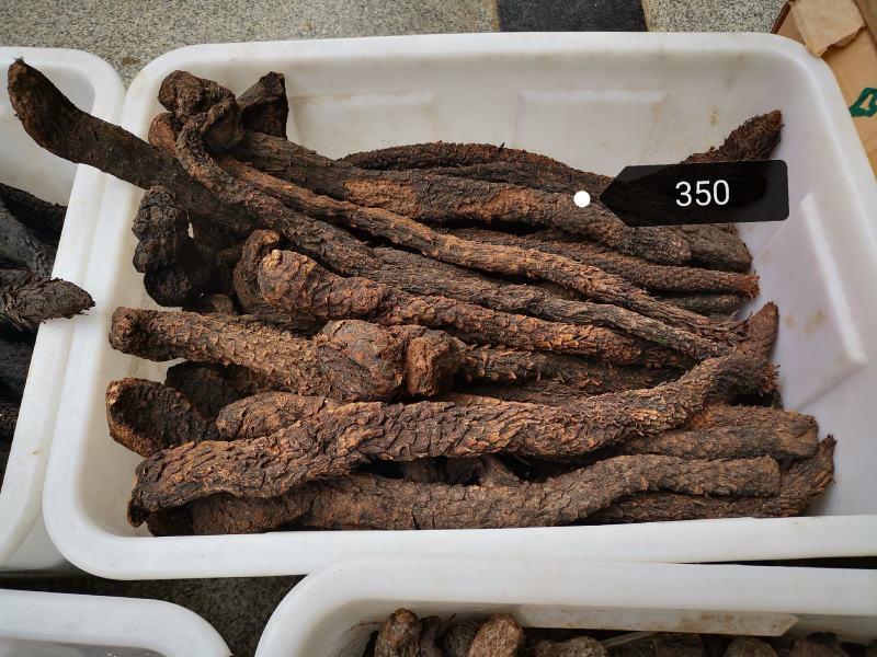 正宗肉苁蓉500g克无盐新疆油性甜大芸食用泡酒药材新货