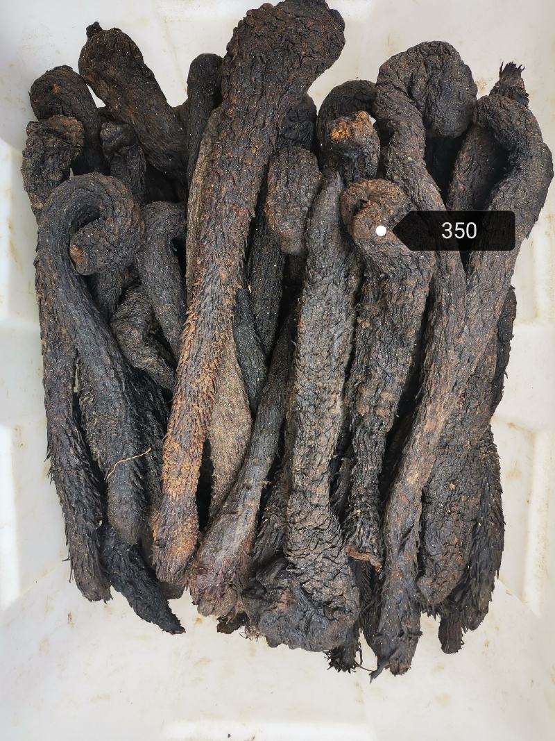 正宗肉苁蓉500g克无盐新疆油性甜大芸食用泡酒药材新货