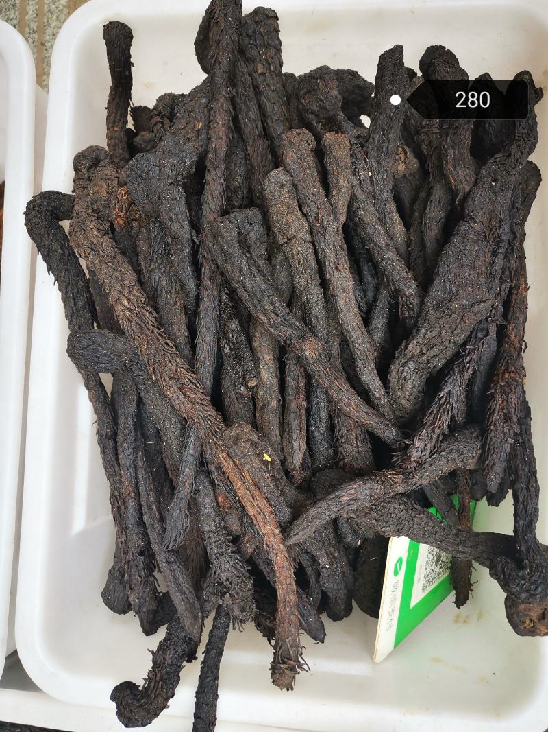 正宗肉苁蓉500g克无盐新疆油性甜大芸食用泡酒药材新货