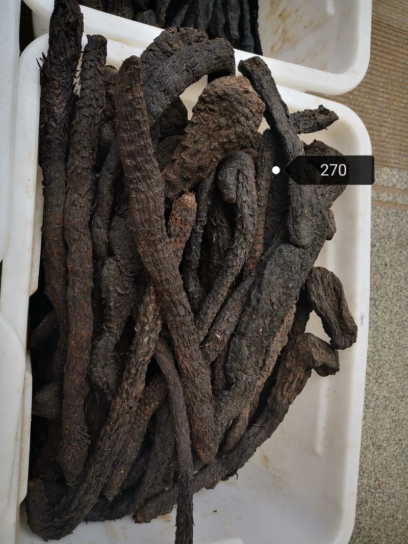 正宗肉苁蓉500g克无盐新疆油性甜大芸食用泡酒药材新货