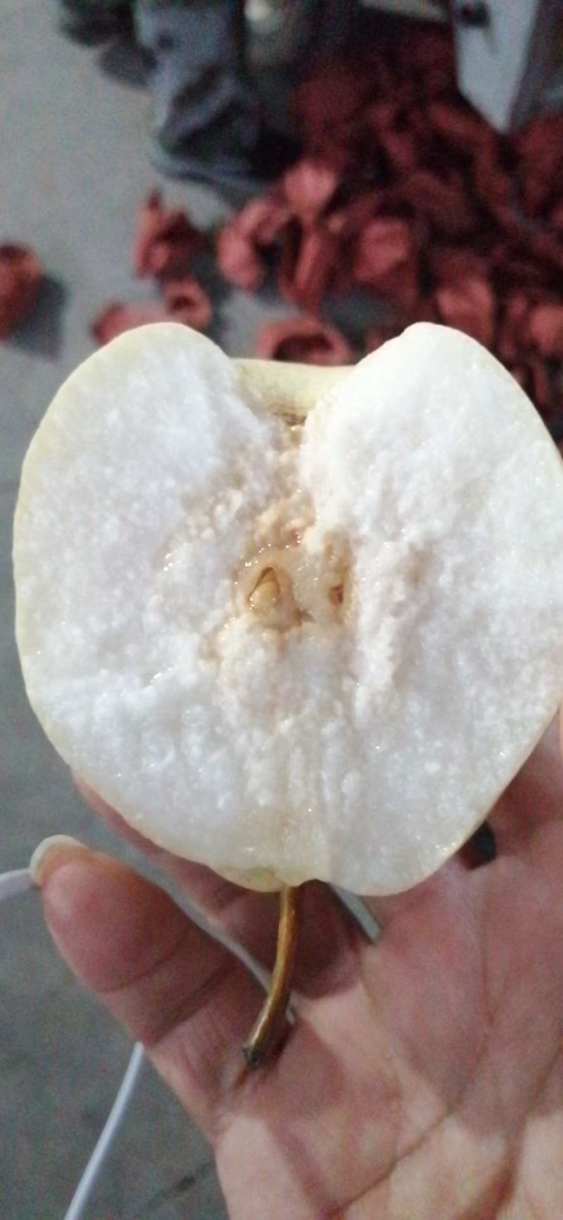 酥梨，纸袋酥梨
